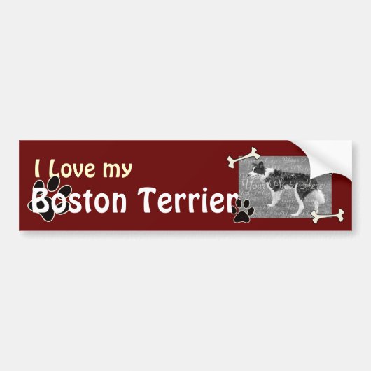 Ik hou van mijn Boston Terrier Bumpersticker (Voorkant)