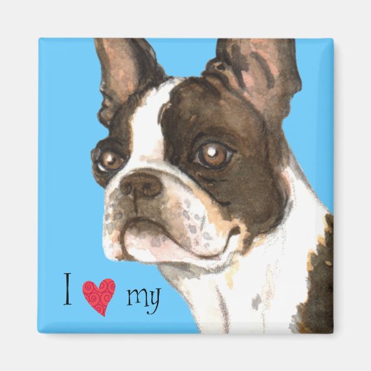 Ik hou van mijn Boston Terrier Magneet (Voorkant)