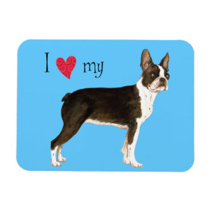 Ik hou van mijn Boston Terrier Magneet