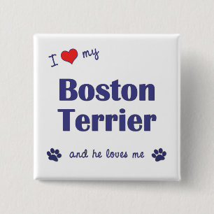 Ik hou van mijn Boston Terrier (Mannelijke hond) Vierkante Button 5,1 Cm