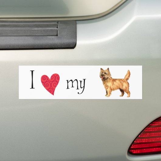 Ik hou van mijn Caïro Terrier Bumpersticker (Op auto)