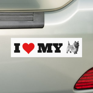 Ik hou van mijn Caïro Terrier Bumpersticker