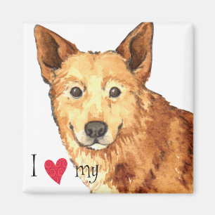 Ik hou van mijn Canaan Dog Magneet