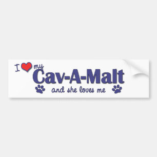 Ik hou van mijn Cav-A-Malt (Vrouw Dog) Bumpersticker