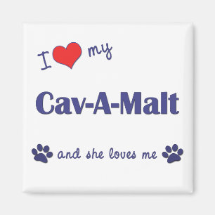 Ik hou van mijn Cav-A-Malt (Vrouw Dog) Magneet