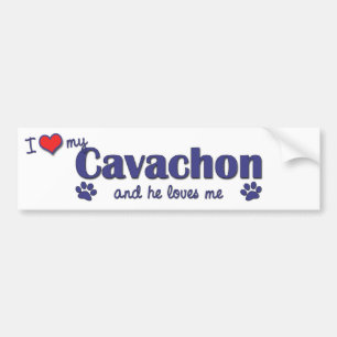 Ik hou van mijn Cavachon (Mannelijke hond) Bumpersticker