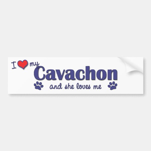 Ik hou van mijn Cavachon (Vrouw Dog) Bumpersticker (Voorkant)