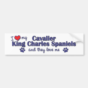 Ik hou van mijn Cavalier King Charles (meerdere ho Bumpersticker