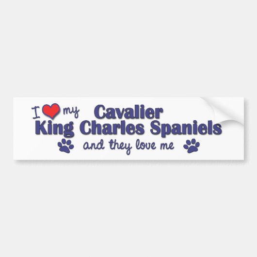 Ik hou van mijn Cavalier King Charles (meerdere ho Bumpersticker (Voorkant)
