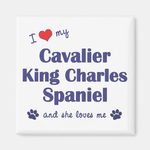 Ik hou van mijn Cavalier King Charles (Vrouw-honde Magneet