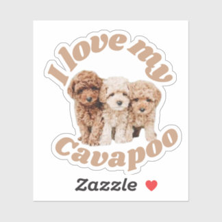 Ik hou van mijn Cavapoo Hondenliefhebber Cavoodle  Sticker