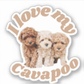 Ik hou van mijn Cavapoo Hondenliefhebber Cavoodle  Sticker (Voorkant)