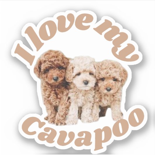 Ik hou van mijn Cavapoo Hondenliefhebber Cavoodle  Sticker (Voorkant)