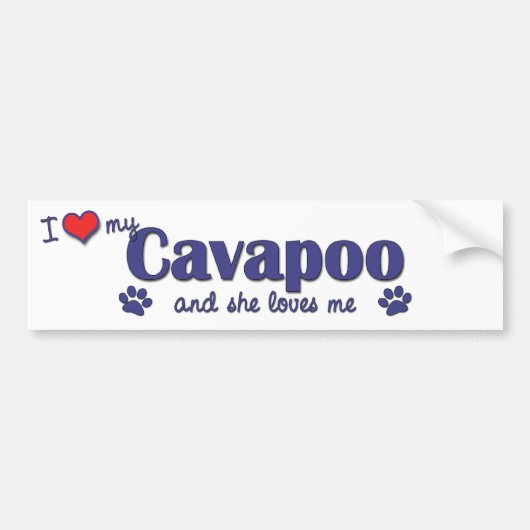 Ik hou van mijn Cavapoo (Vrouw Dog) Bumpersticker (Voorkant)