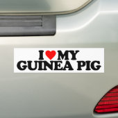 IK HOU VAN MIJN CAVIA BUMPERSTICKER (Op auto)