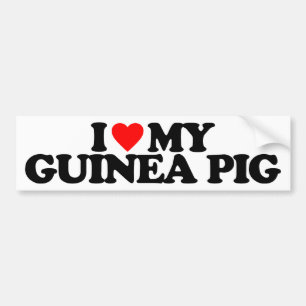 IK HOU VAN MIJN CAVIA BUMPERSTICKER
