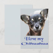 Ik hou van mijn chihuahua bedankkaart (Voorkant / Achterkant)