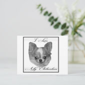 Ik hou van mijn chihuahua briefkaart (Staand voorkant)