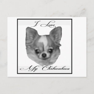 Ik hou van mijn chihuahua briefkaart