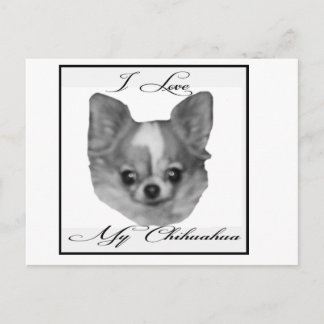Ik hou van mijn chihuahua briefkaart