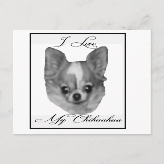 Ik hou van mijn chihuahua briefkaart (Voorkant)