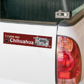 Ik hou van mijn Chihuahua Bumpersticker (Op Truck)