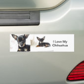 Ik hou van mijn Chihuahua Bumpersticker (Op auto)