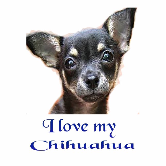 Ik hou van mijn Chihuahua Fotobeeldje Sleutelhanger (Voorkant)