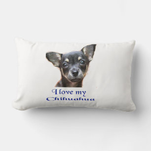 Ik hou van mijn Chihuahua Kussen