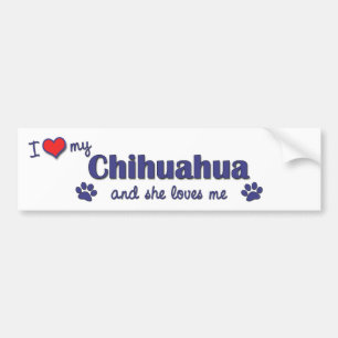 Ik hou van mijn Chihuahua (Vrouw Dog) Bumpersticker