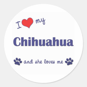 Ik hou van mijn Chihuahua (Vrouw Dog) Ronde Sticker