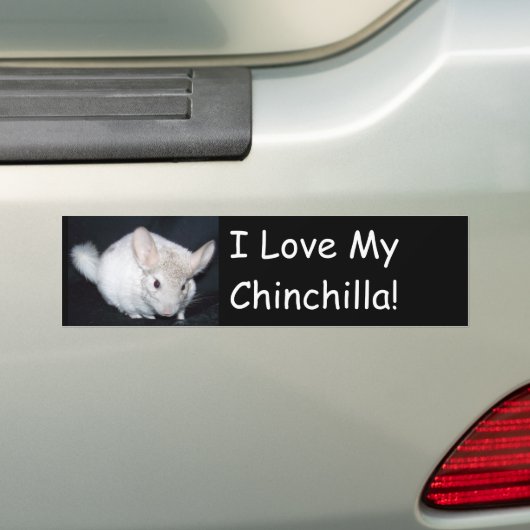 Ik hou van mijn chinchillah bumpersticker (Op auto)