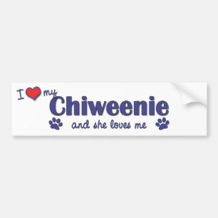 Ik hou van mijn Chiweenie (Vrouw Dog) Bumpersticker