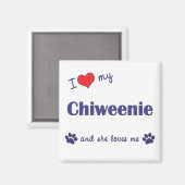 Ik hou van mijn Chiweenie (Vrouw Dog) Magneet (Voorkant / Achterkant)