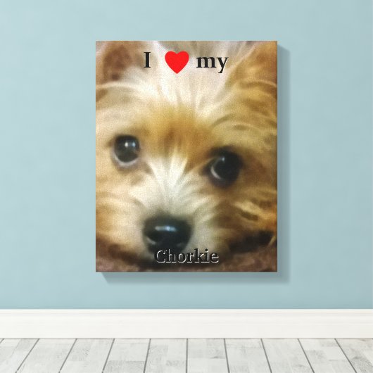 Ik hou van mijn Chorkie Canvas Afdruk (Insitu (Houten vloer))