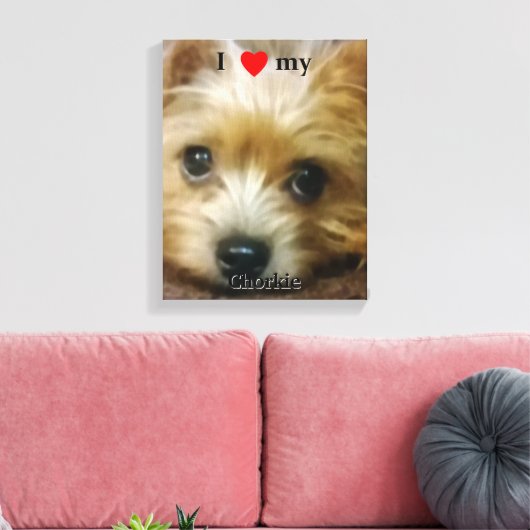 Ik hou van mijn Chorkie Canvas Afdruk (Insitu (Woonkamer))