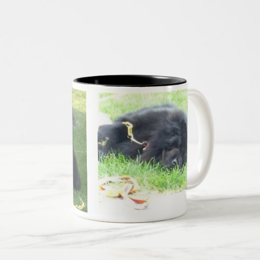 Ik hou van mijn Chows & Coffee Black Tweekleurige Koffiemok (Voorkant rechts)