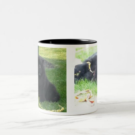 Ik hou van mijn Chows & Coffee Black Tweekleurige Koffiemok (Center)