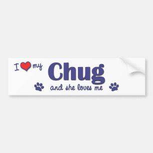 Ik hou van mijn Chug (Vrouw Dog) Bumpersticker