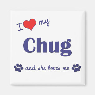 Ik hou van mijn Chug (Vrouw Dog) Magneet