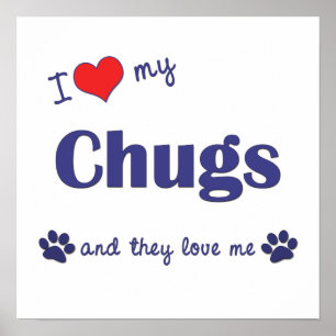 Ik hou van mijn Chugs-Poster (meerdere honden) afd Poster