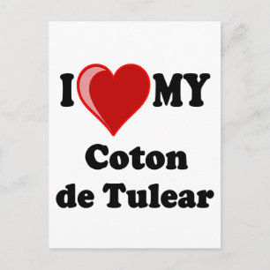 Ik hou van mijn Coton de Tulear Dog Briefkaart