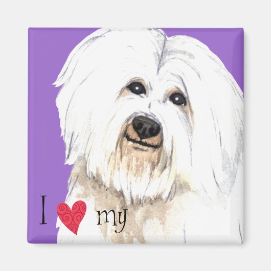 Ik hou van mijn Coton de Tulear Magneet (Voorkant)