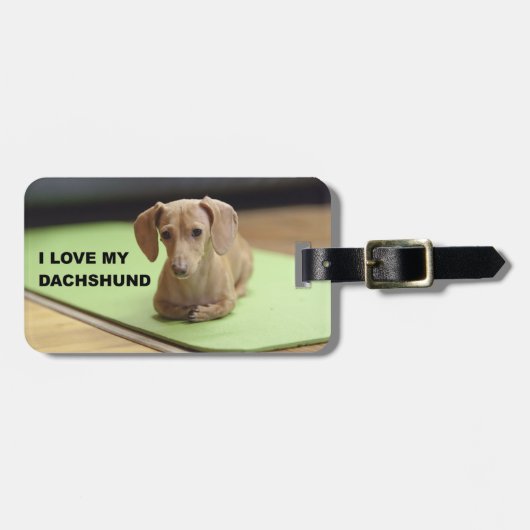 Ik hou van mijn crème teckel met afbeelding bagagelabel (Voorkant horizontaal)