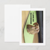 Ik hou van mijn crème teckel met afbeelding bedankkaart (Voorkant / Achterkant)