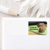 Ik hou van mijn crème teckel met afbeelding etiket (Insitu)