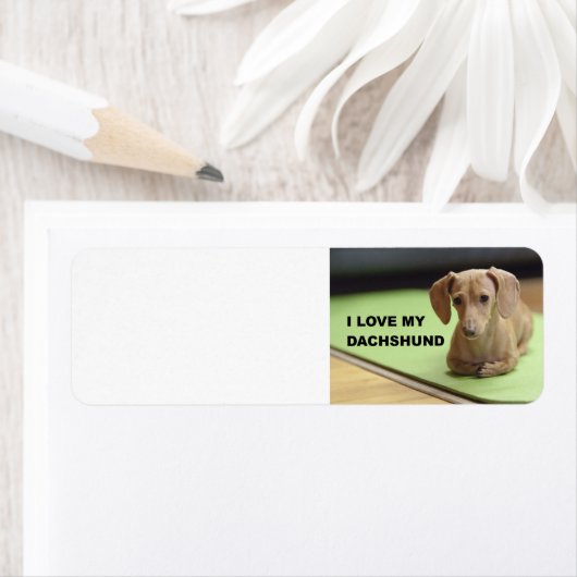 Ik hou van mijn crème teckel met afbeelding etiket (Insitu)
