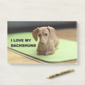 Ik hou van mijn crème teckel met afbeelding post-it® notes (Op bureau)