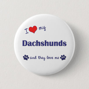 Ik hou van mijn dachshunds (veel honden) ronde button 5,7 cm