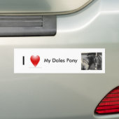 Ik hou van mijn Dales Pony Bumpersticker (Op auto)